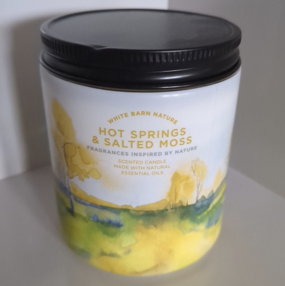 BBW Hot Springs And Salted Moss Candle